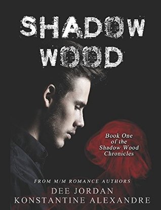 Download Shadow Wood: Book One of the Shadow Wood Chronicles - Dee Jordan | ePub