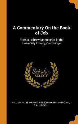 Read online A Commentary on the Book of Job: From a Hebrew Manuscript in the University Library, Cambridge - William Aldis Wright file in ePub