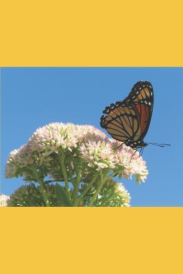 Download Butterfly: Plain Lined Notebook Paper, 125 Pages - M O B Publishing & Design file in PDF