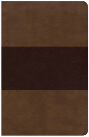 Read online KJV Large Print Personal Size Reference Bible, Saddle Brown Leathertouch Indexed - Holman Bible Staff file in PDF